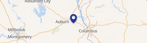 21.3 Acres in Salem, Alabama