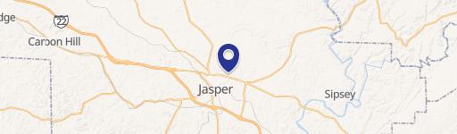 Residential Lot in Jasper, AL