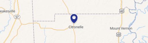 Citronelle Commercial Lot on Hwy 45