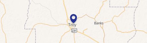 Vacant Lot Near Troy University