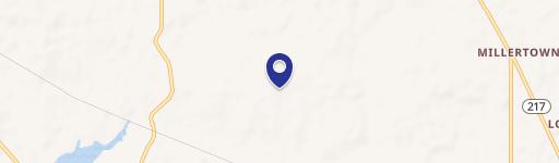 Unrestricted Wooded Acre in Wilmer