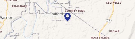 Cattle Farm with Equestrian Potential