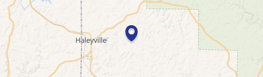 Picturesque Wooded Land For Sale