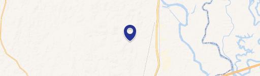 Residential Lot in Axis, AL