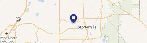 Zephyrhills Commercial Site for Development