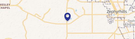 Wesley Chapel Commercial Development Opportunity