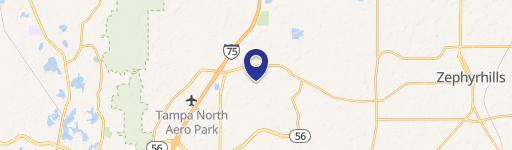 Saddlebrook Resort Condo-Hotel Opportunity