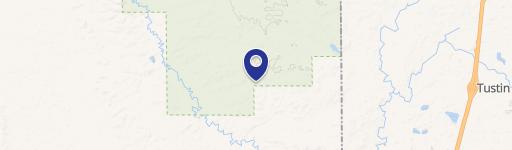 Hospitality Business Near National Forest