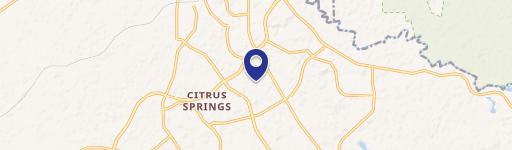 Citrus Springs Corner Lot