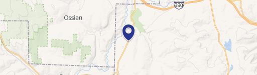 Dansville Vacant Land on Route