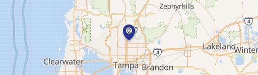 Tampa Triplex Investment Opportunity