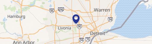 Detroit Land with Potential