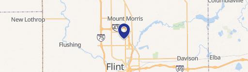 Vacant Land in Flint