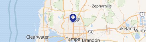Land Near USF, Tampa