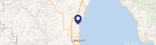 Lakeview Parcel in Lakeport