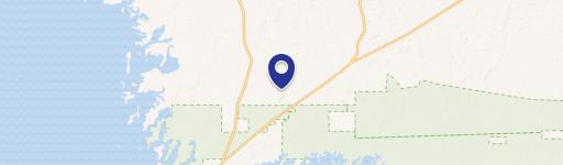 Wooded Lot in Cedar Key