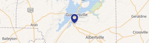 Guntersville Land with Lake View