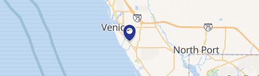 Oversized Lot in South Venice