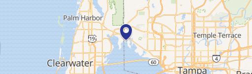 Waterfront Land in Tampa Bay
