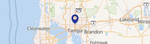 Seminole Heights Income-Generating Property