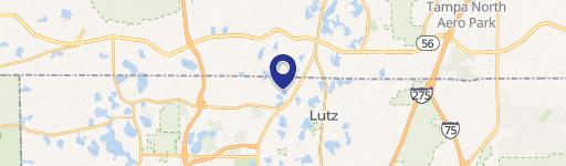 Lakefront Homesite in Lutz