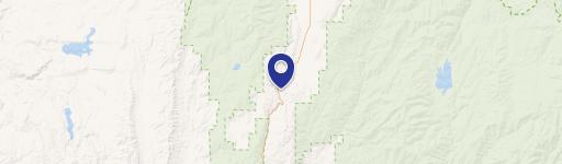 Wooded RV Camping Land