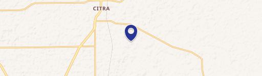 Secluded Lightly Wooded Land Parcel