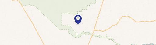 Heavily Wooded Hunting Tract