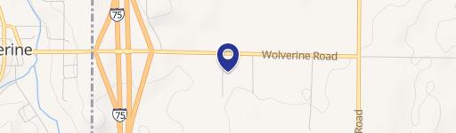 Wooded Recreation Land Lot