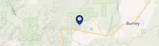 33586 State Hwy 299th E