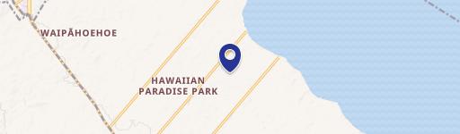 Wooded Building Lot with Banyan