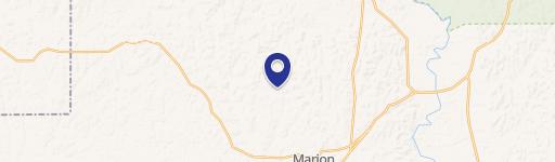 Recreational Hunting Timber Tract