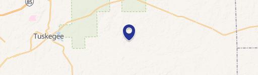 Timber Hunting Tract with Creek