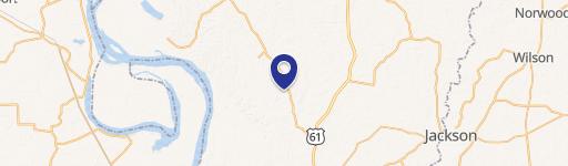 Wooded Estate Lot in Subdivision