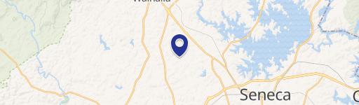 Turnkey Acreage Tract with Tiny Home