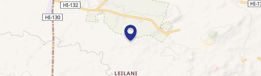 Rim Lot in Leilani Estates