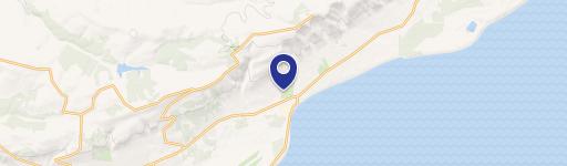 41566 Crested Crane St