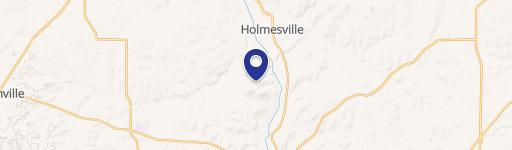 Wooded Hunting Land with Frontage