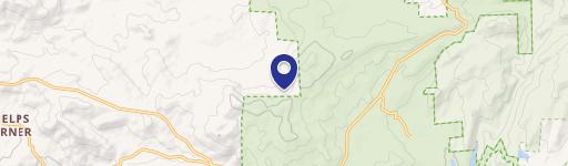 Two-Parcel Land Tracts with Forest Backdrop
