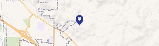 Wooded View Lot in Neighborhood