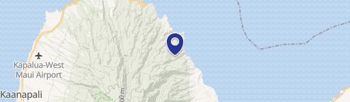 Level Ocean-Side Homesite in Gated Enclave
