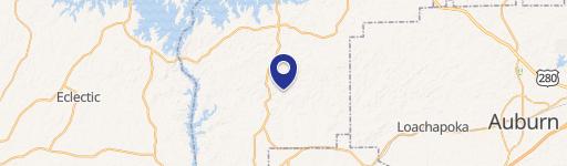 70 Acres Timber Investment Property