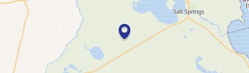 Salt Springs Resort Campground