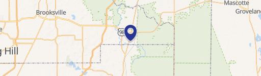 3241 TAFFETA STREET, DADE, CITY, FL 33523