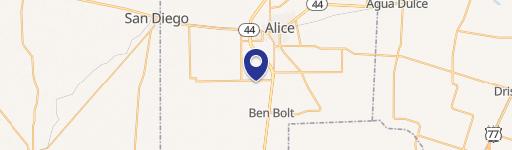 Lot 10 Fm 3376, Alice, TX 78332