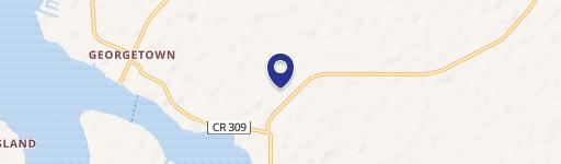 111 Northeast Court, Georgetown, FL 32139
