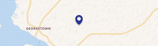 124 Roebuck Street, Georgetown, FL 32139