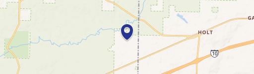 Wooded Hunting Land