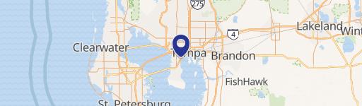 2715 Bayshore Boulevard, TAMPA, FL, FL 33629