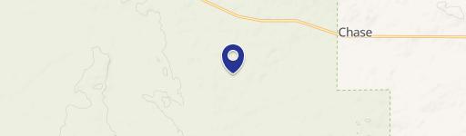 Wooded Land with Campsite